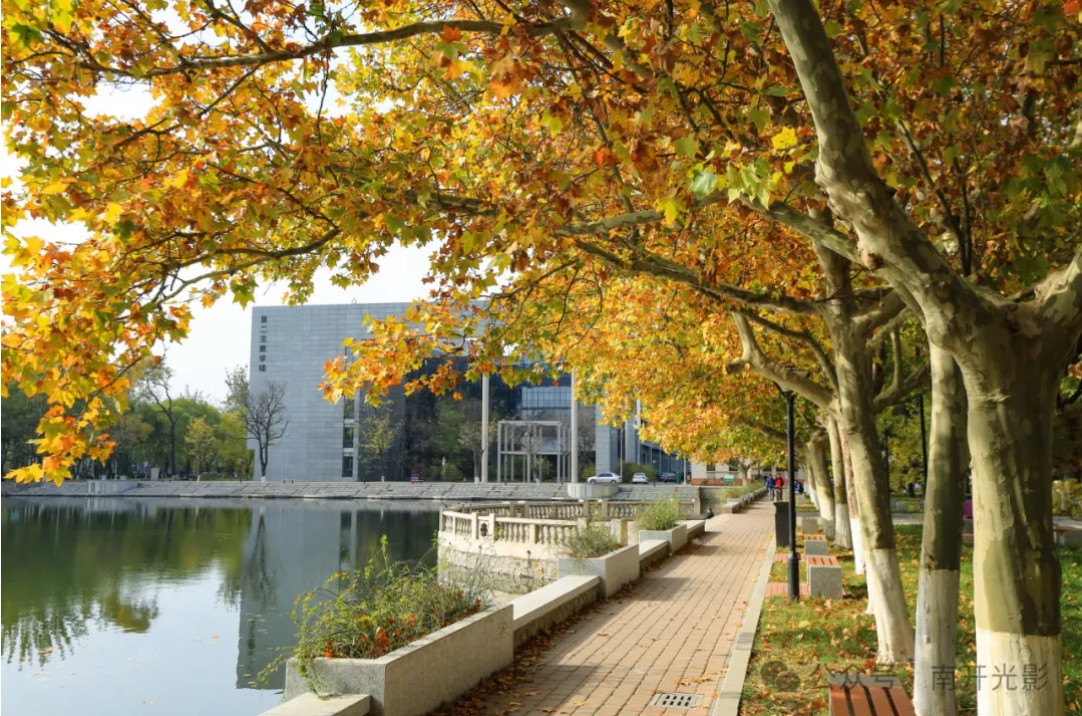 屏幕截图 2024-12-16 111847.png